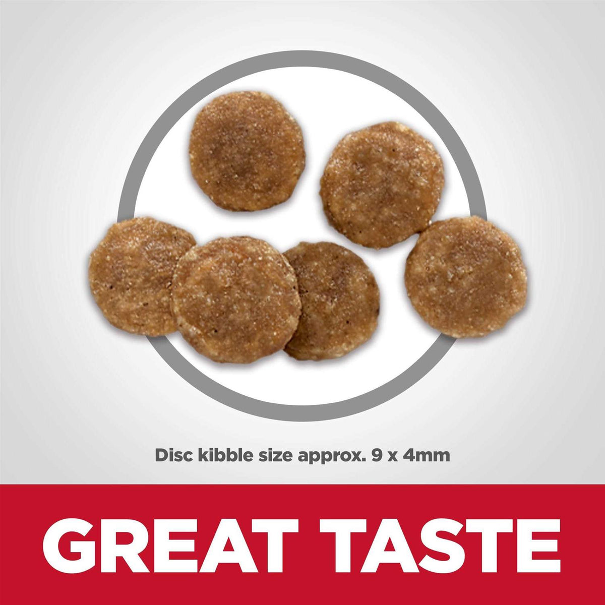 Chicken Dry Cat Food Y5490
