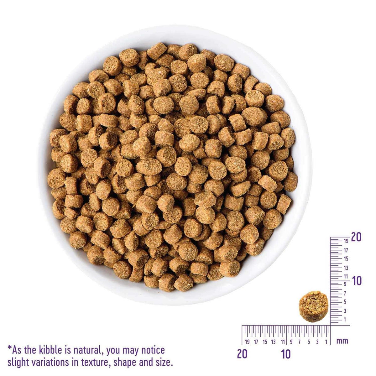 Grain-Free Indoor Salmon & Herring Meal Dry Cat Food J16702