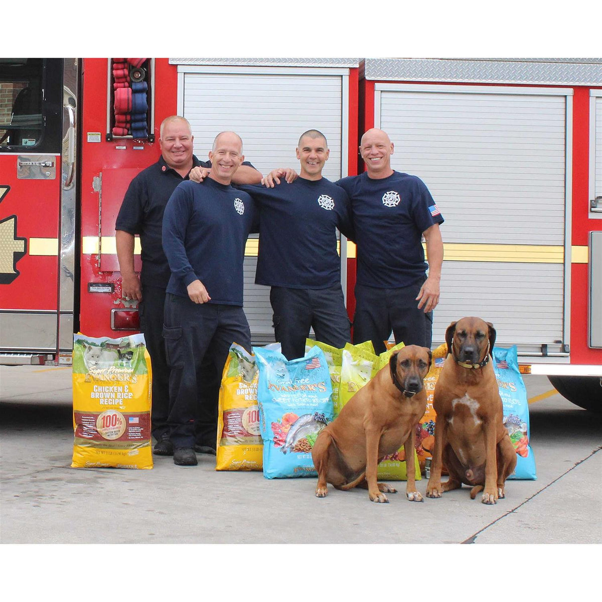 Chicken with Brown Rice Dry Dog Food O384665