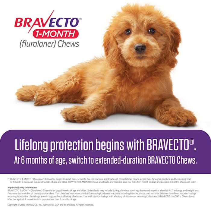 1-Month Chews for Dogs R910737