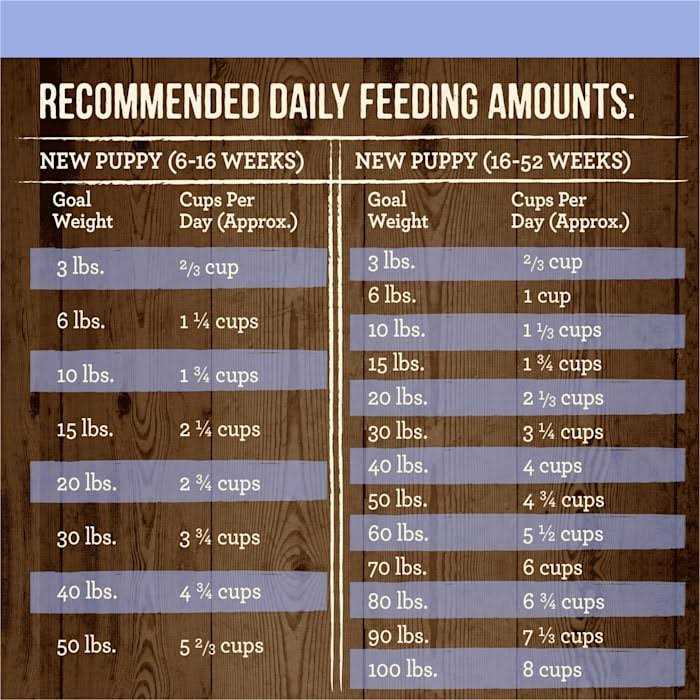 Grain Free Real Beef & Sweet Potato Dry Dog Food S266304