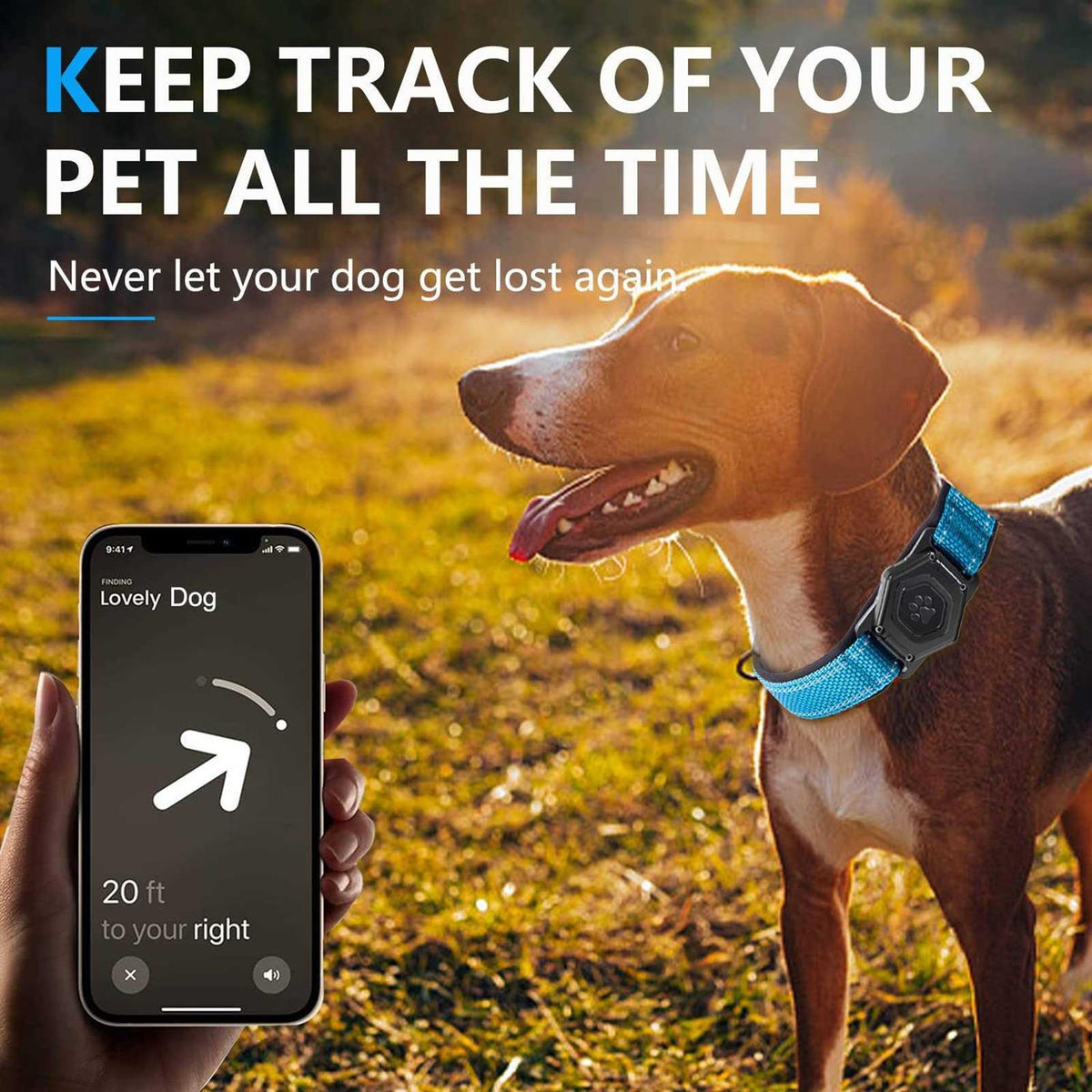 Adjustable Reflective Dog Collar with AirTag Holder Y99539