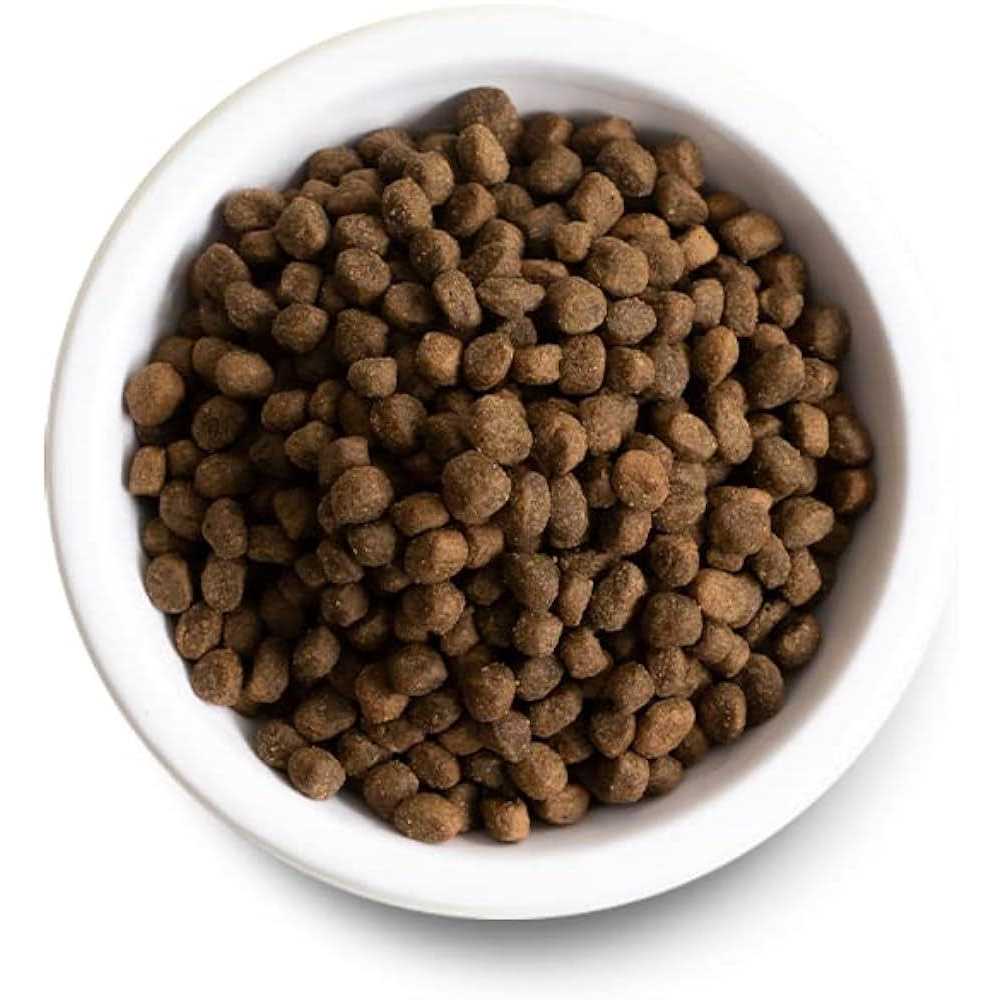 Ancient Grains Puppy Dry Dog Food U74974