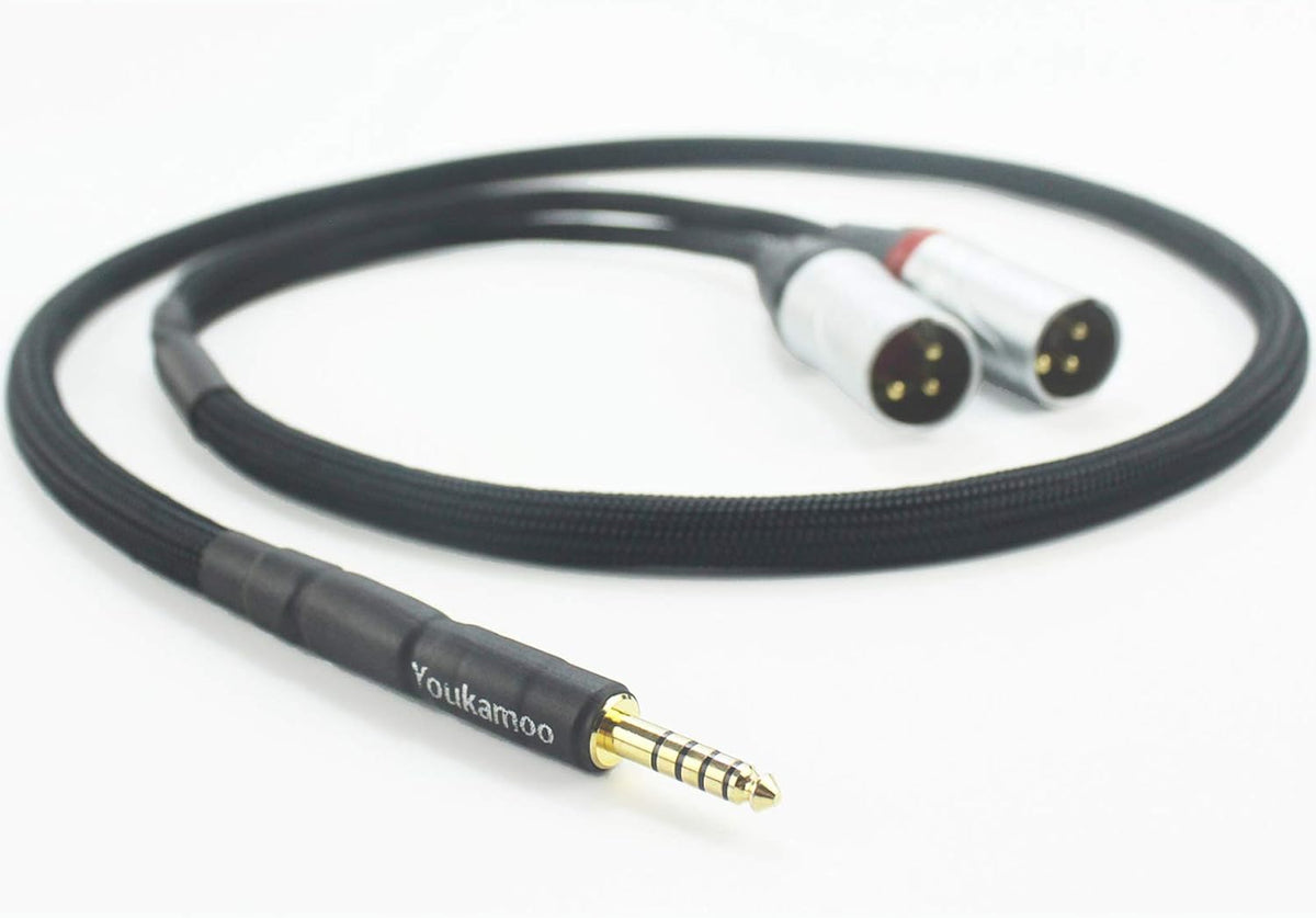 4.4mm to Dual XLR Male Balanced Audio Adapter Cable 5 FT Pack of 2 E9704