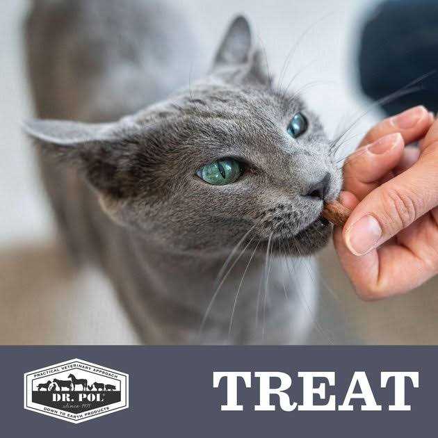 Freeze Dried Salmon Dog Treat and Meal Topper J5340