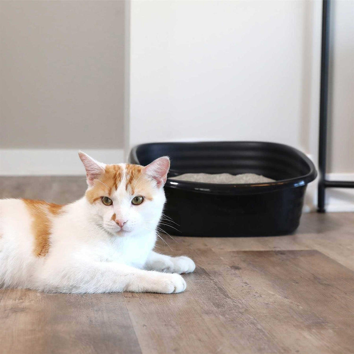 Litter Pan L920136