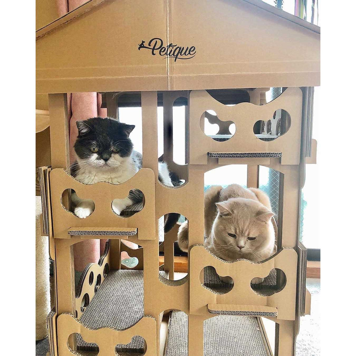 Cat House X96448