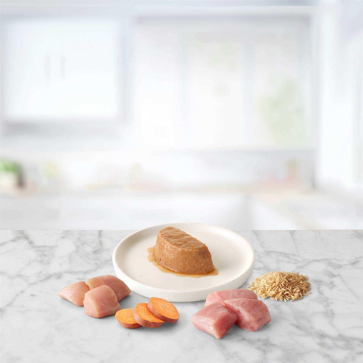 Chicken and Turkey Pate Wet Cat Food Variety Pack V265