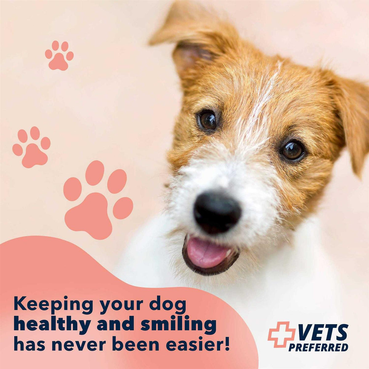 Advanced Oral Care Water Additive for Dogs M376960