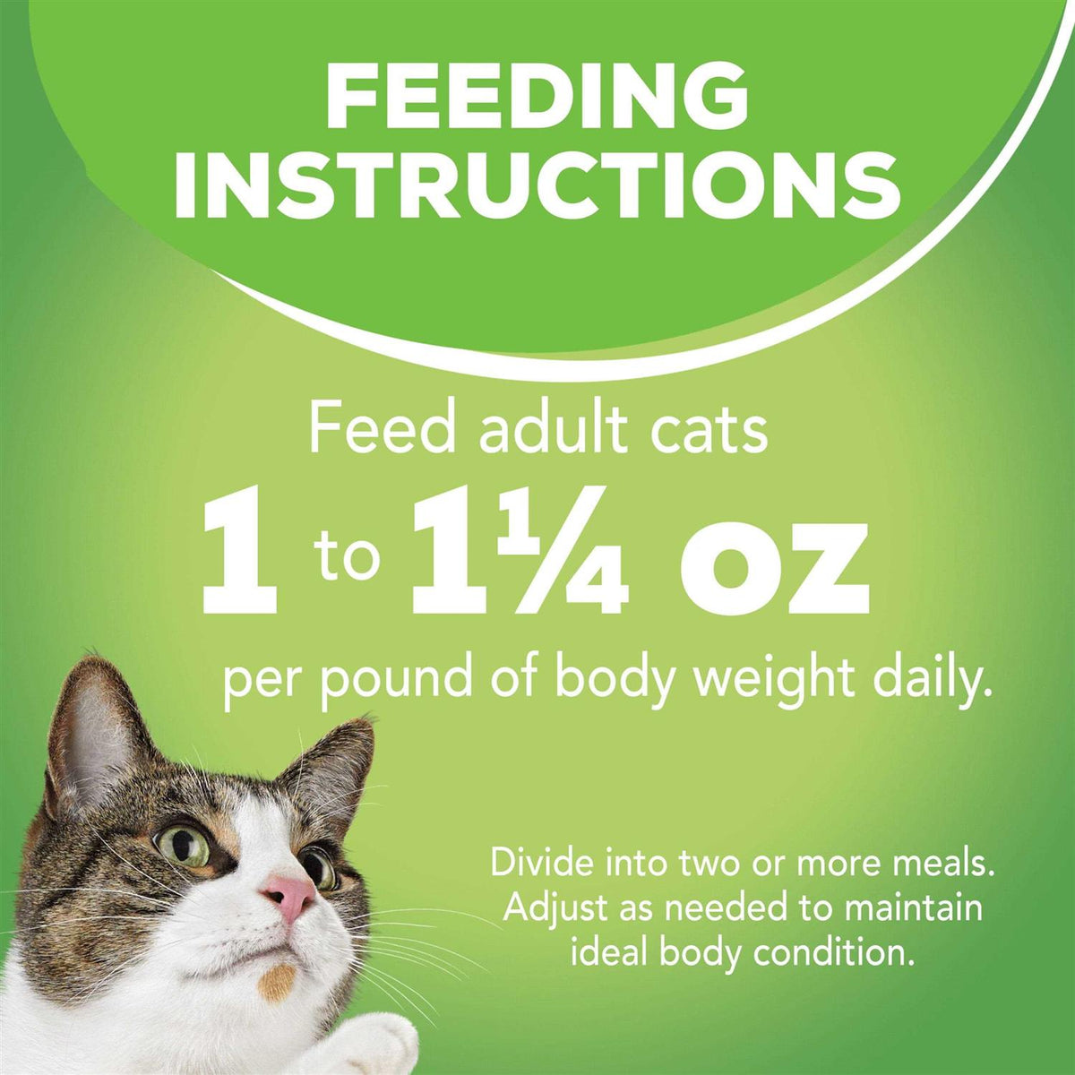 Indoor Wet Cat Food U221159