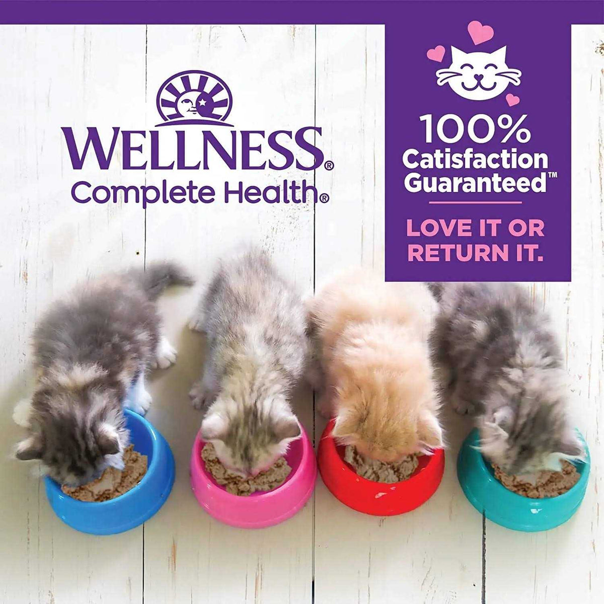 Cat Food O449703