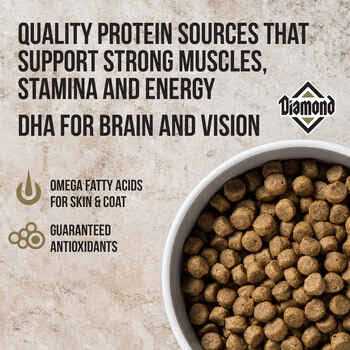 Adult Dog Food X5822