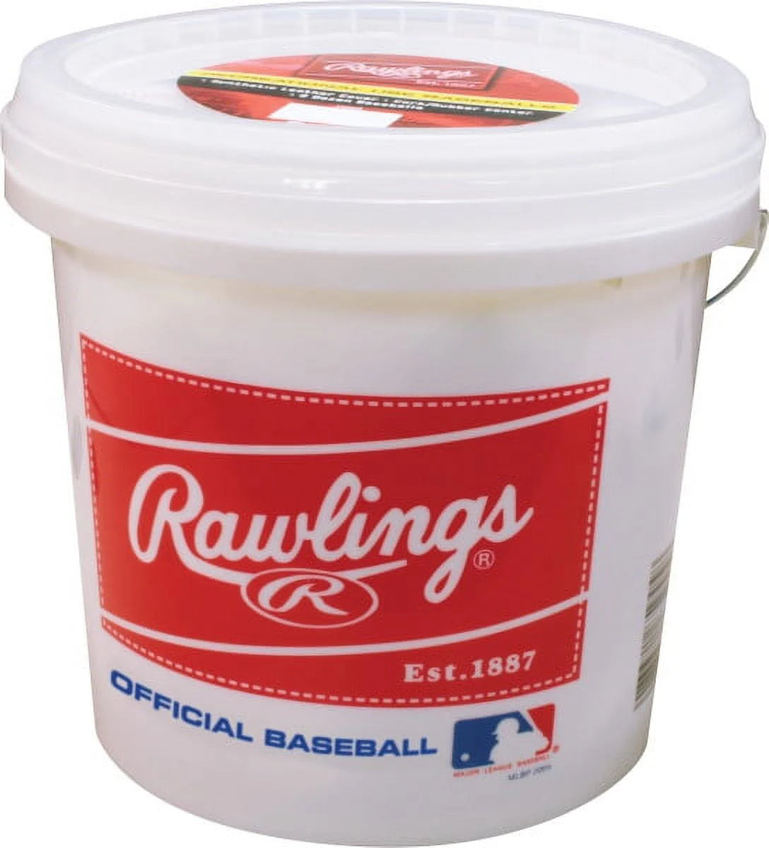 24 Pack Baseballs W431244