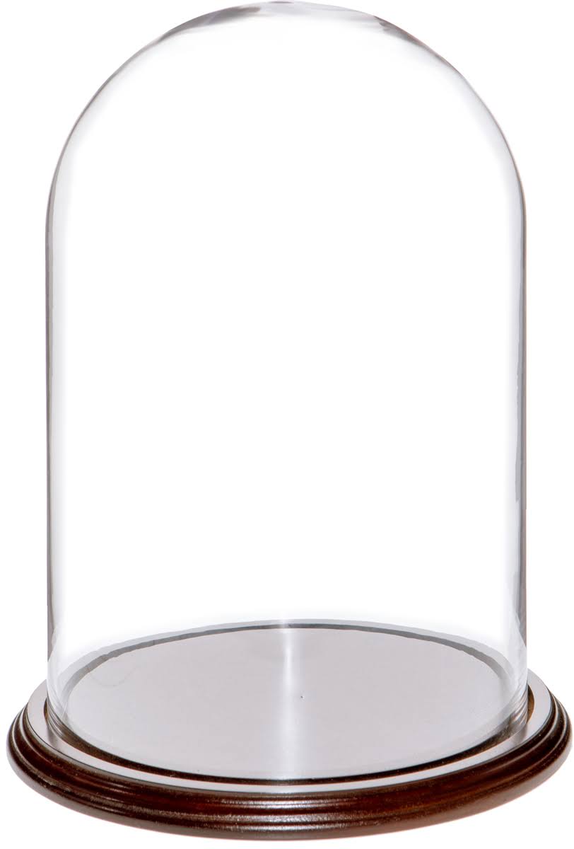 Glass Display Dome Cloche with Dark Mahogany Veneer Base C529378