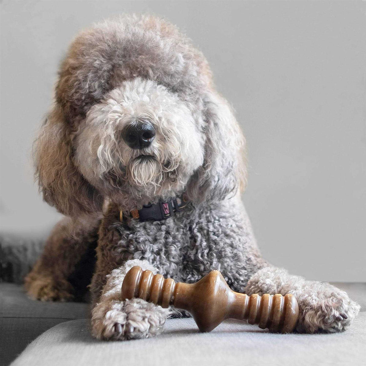 Chicken Dog Chew Toy H830