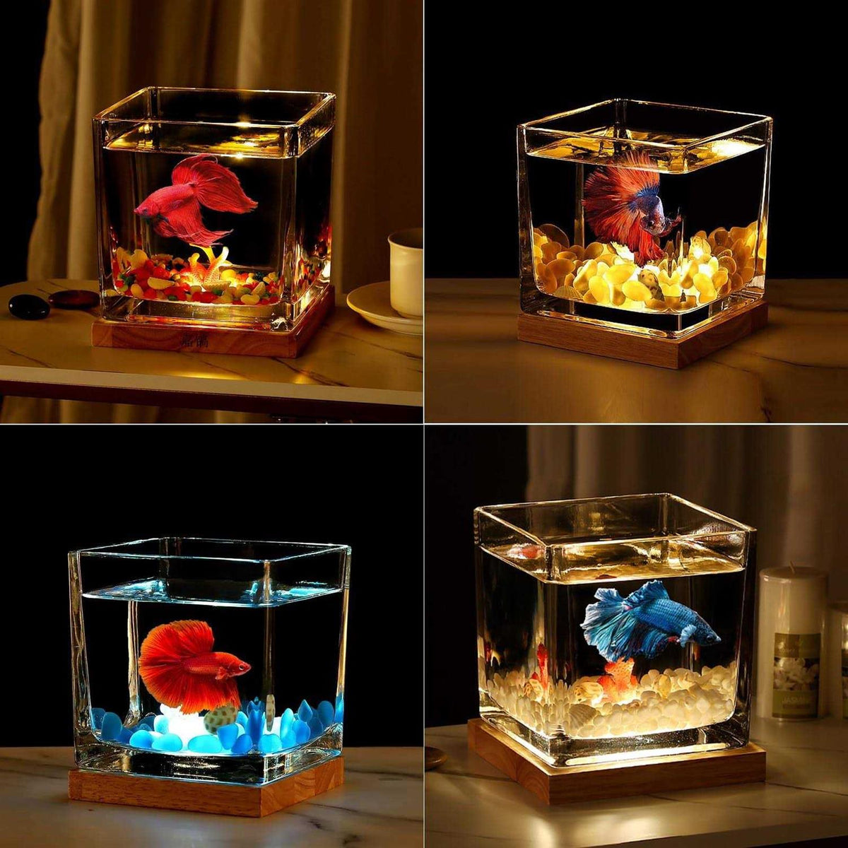 0.81 Gallon Glass Fish Tank Kit D701691