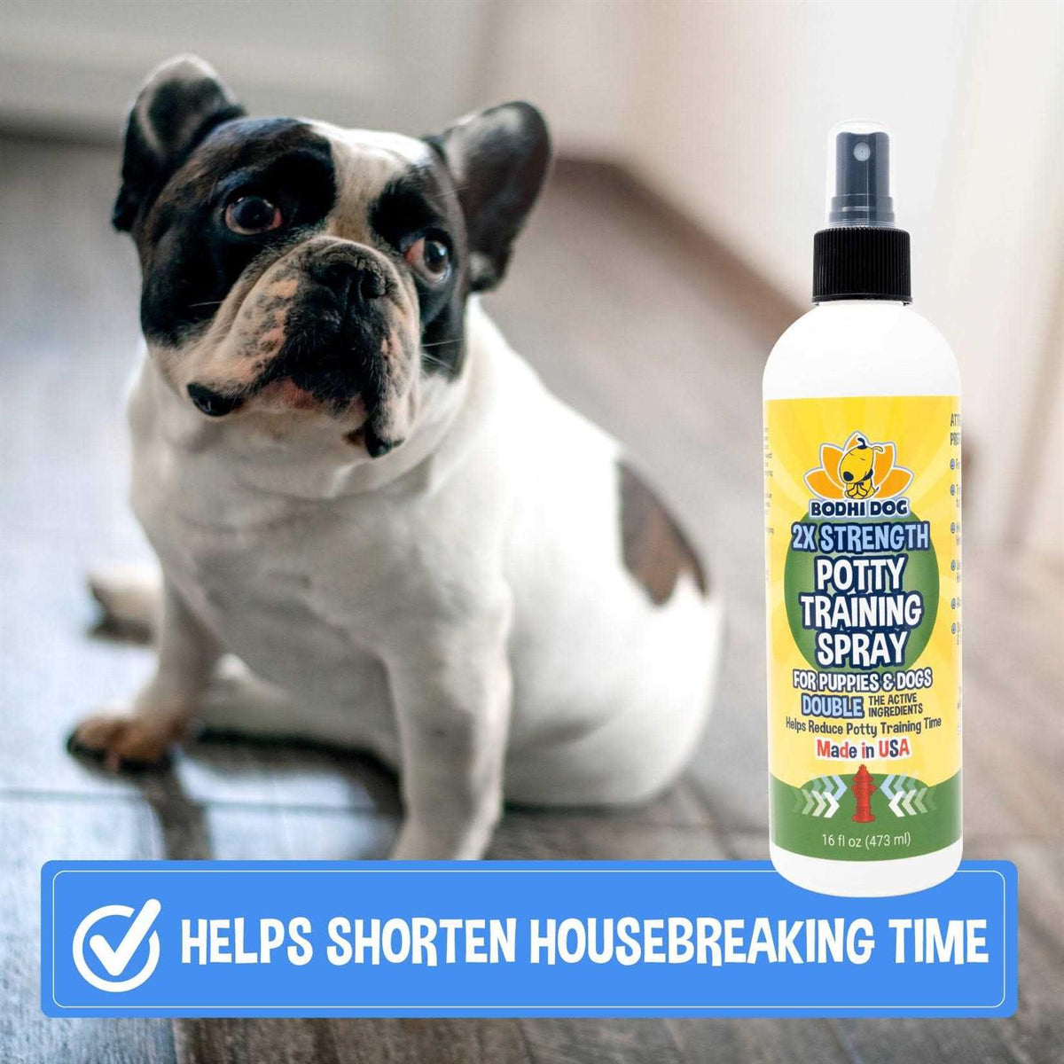 Indoor Outdoor Potty Training Spray A5860
