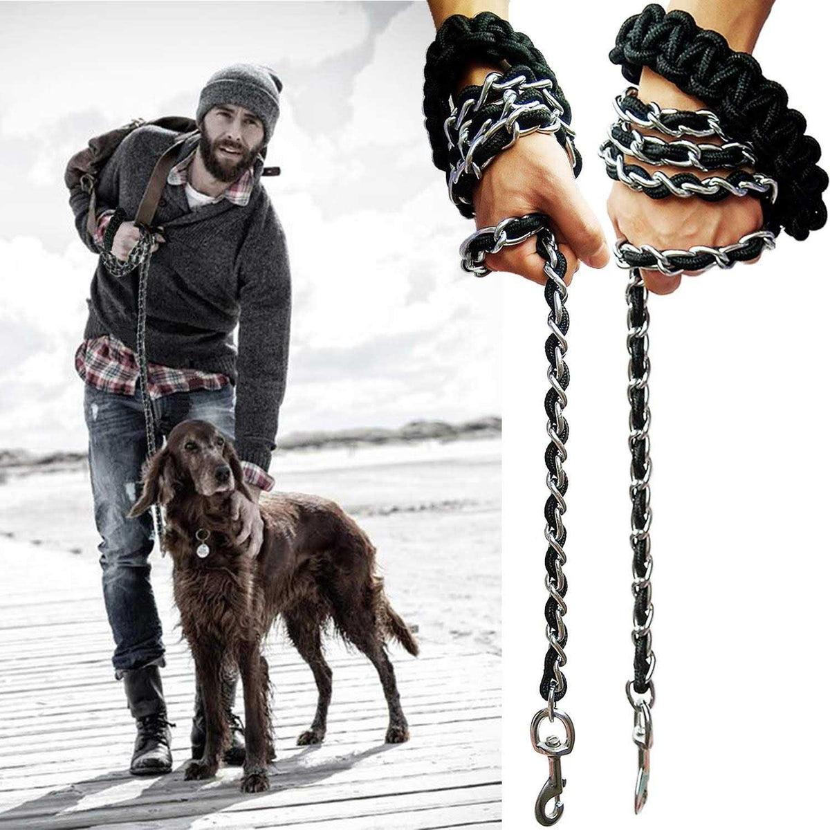 Metal Dog Leash with Collar Y6709