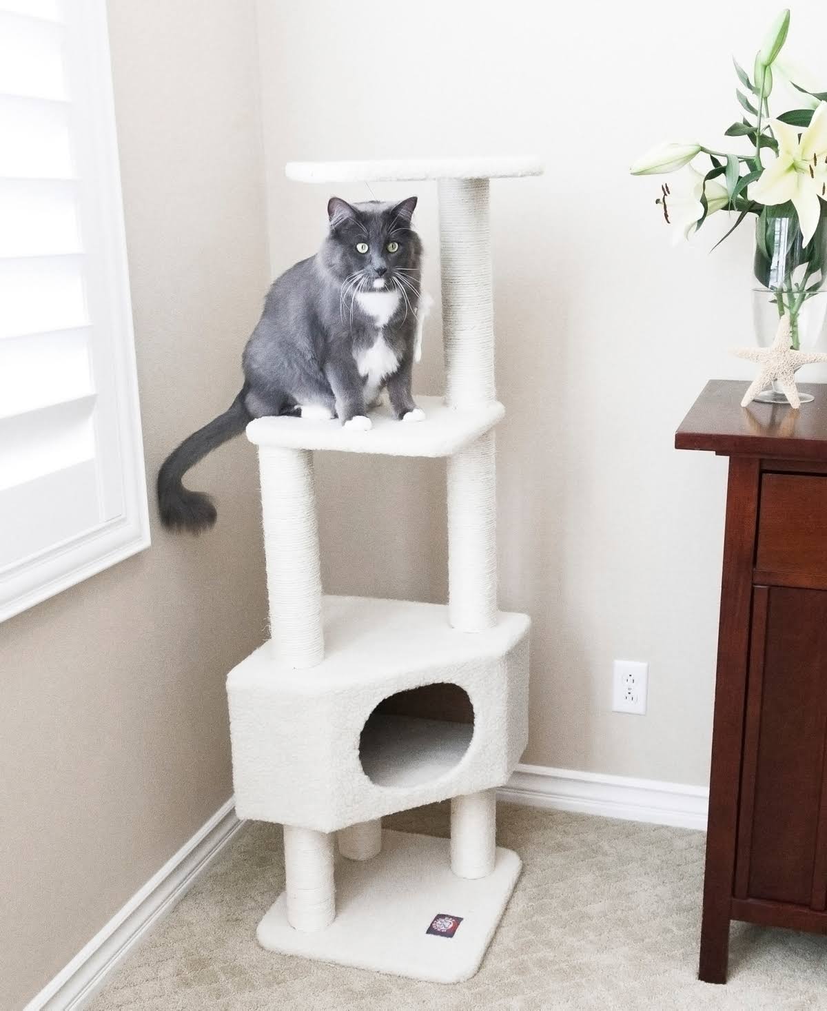 52-in. Cat Tree Y141