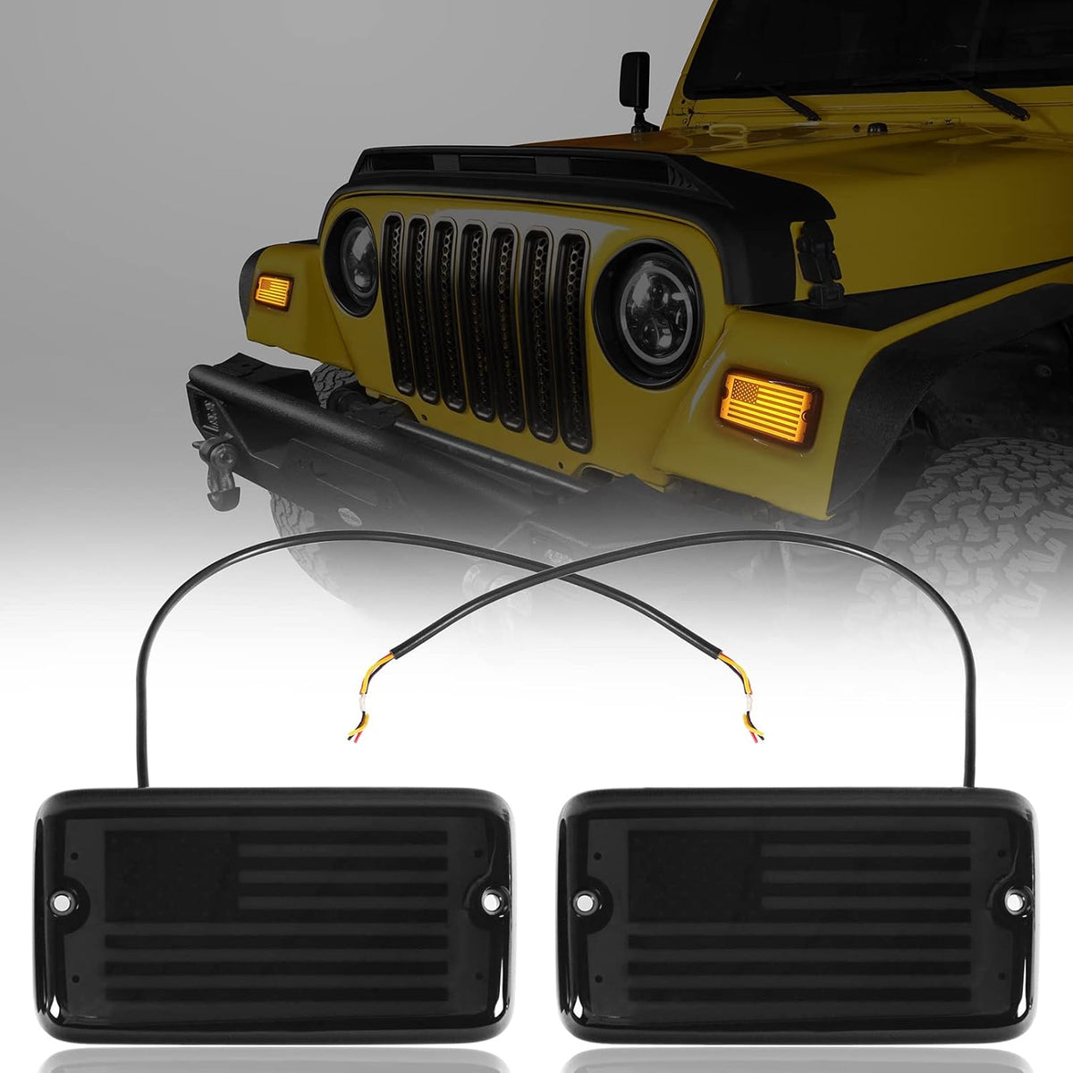 LED Turn Signal Lights Pack of 2 J381911