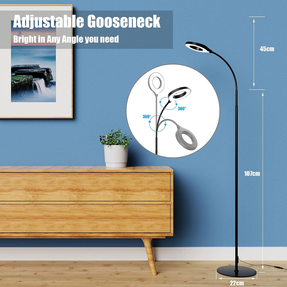 Black Dimmable LED Floor Lamp with Adjustable Gooseneck C6209