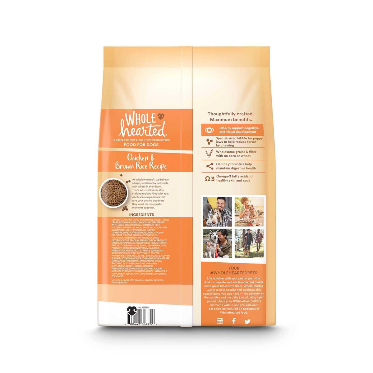Chicken and Brown Rice Recipe Dry Puppy Food C5685