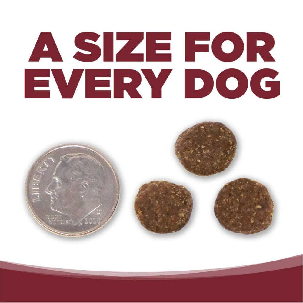 Beef Rice Dry Dog Food S24964
