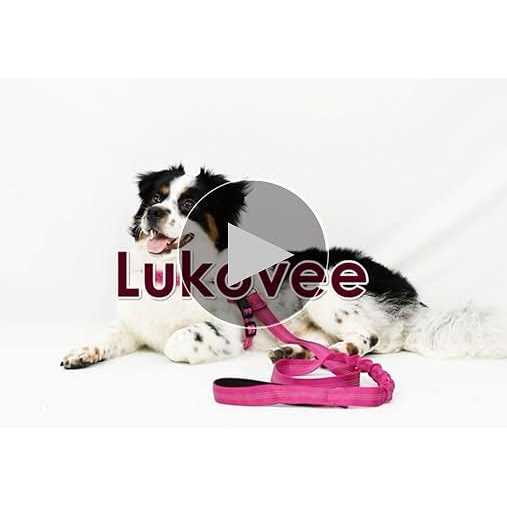 Heavy Duty Adjustable Reflective Dog Harness and Leash H508