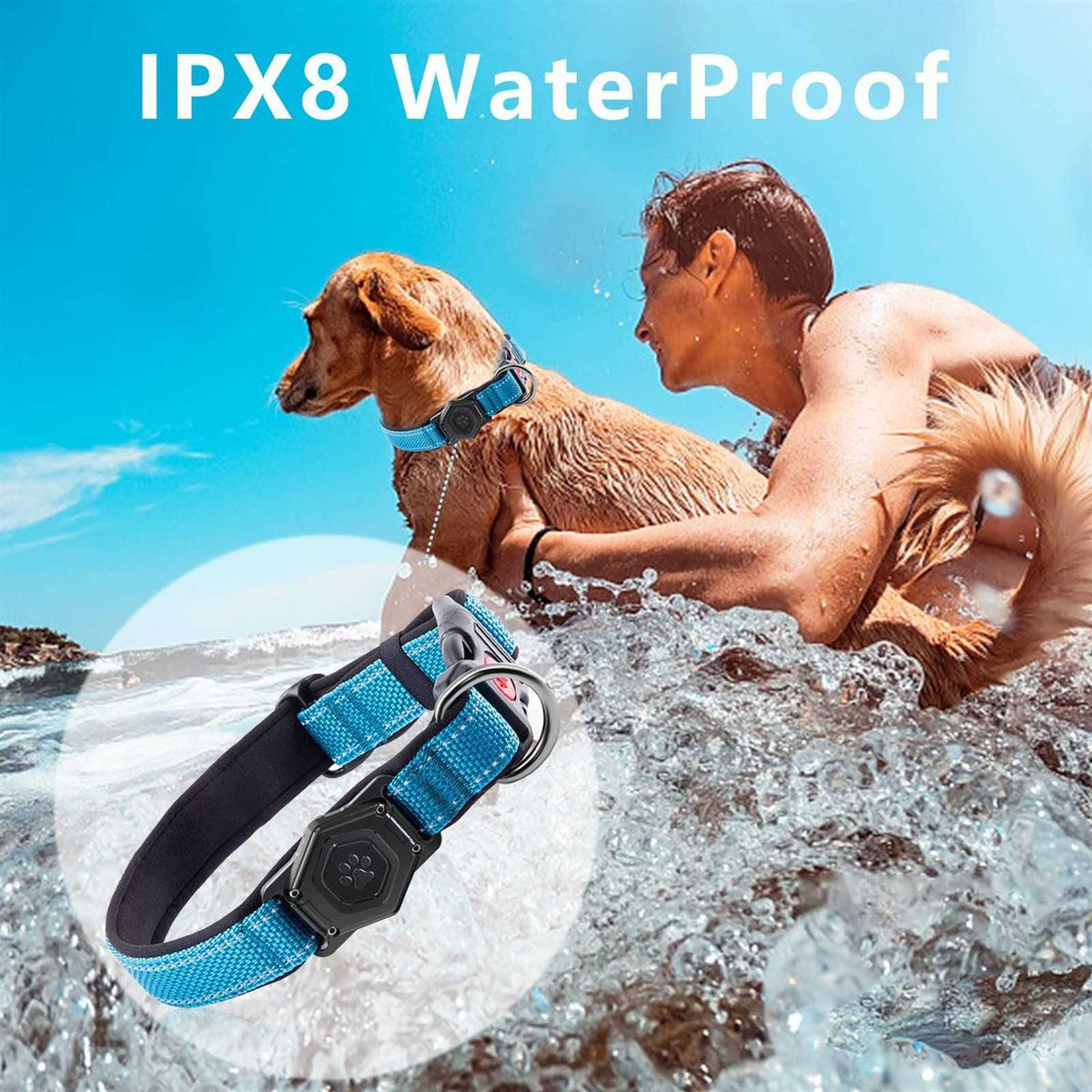 Adjustable Reflective Dog Collar with AirTag Holder Y99539