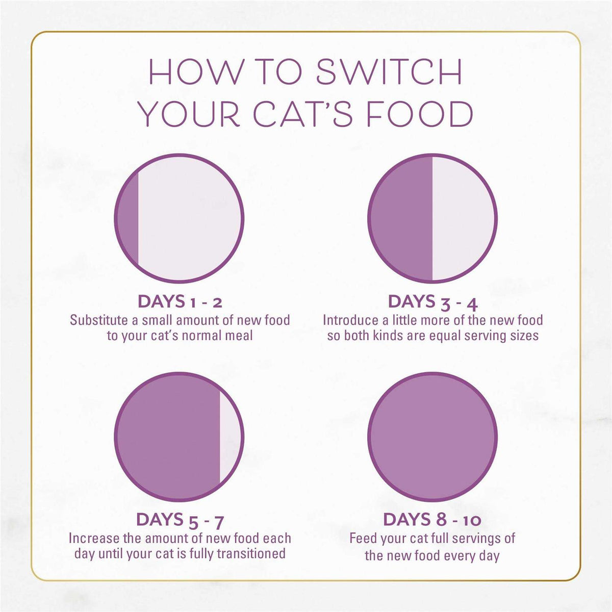 Dry Cat Food B731029
