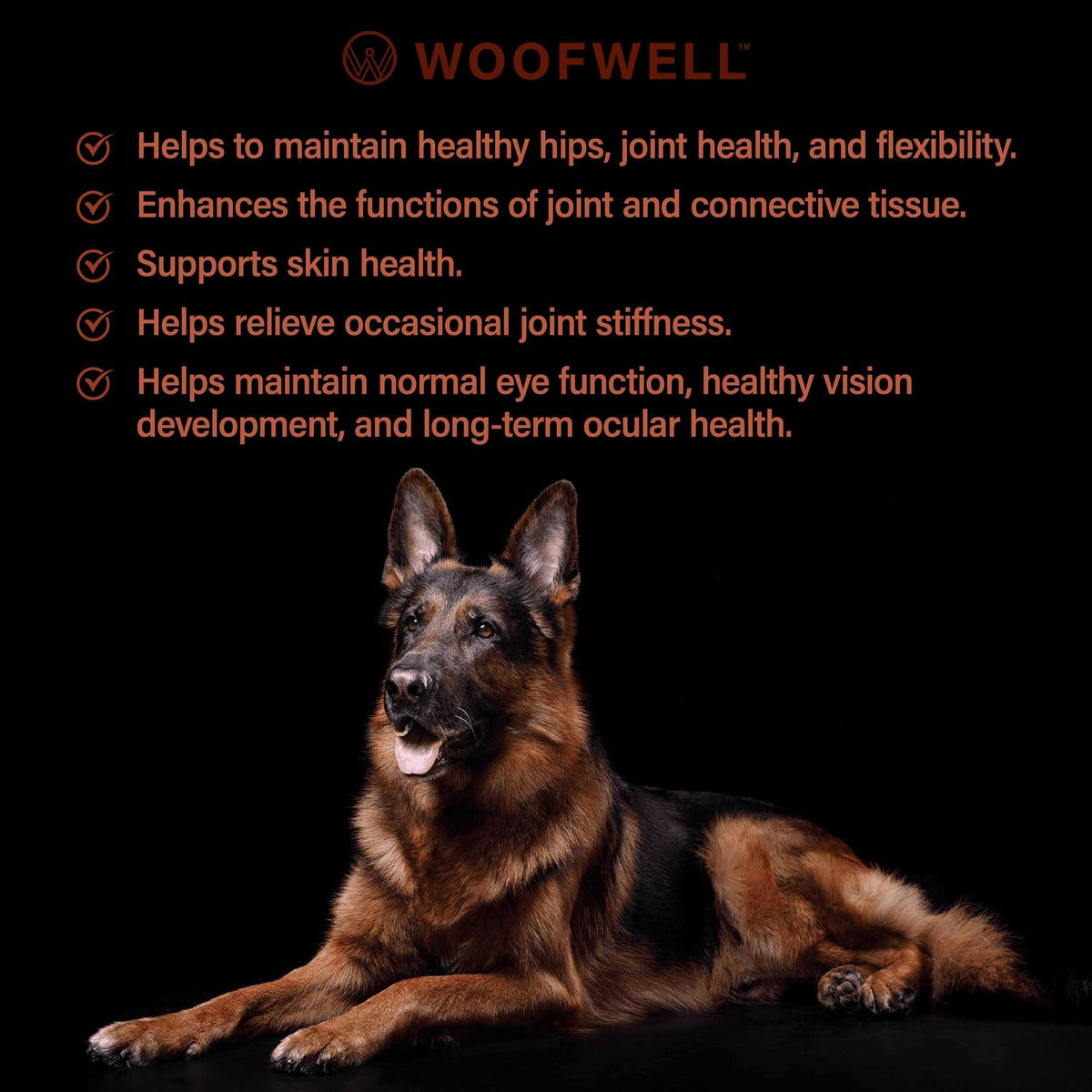 German Shepherd Health Support Supplement J213379