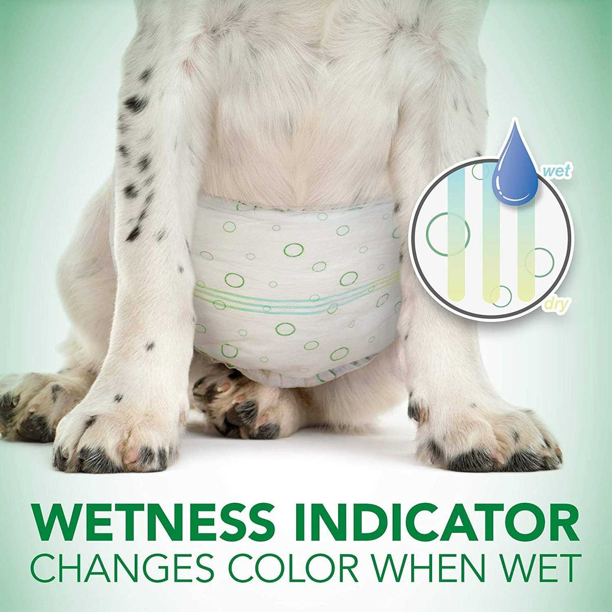 Disposable Male Dog Wraps U3696