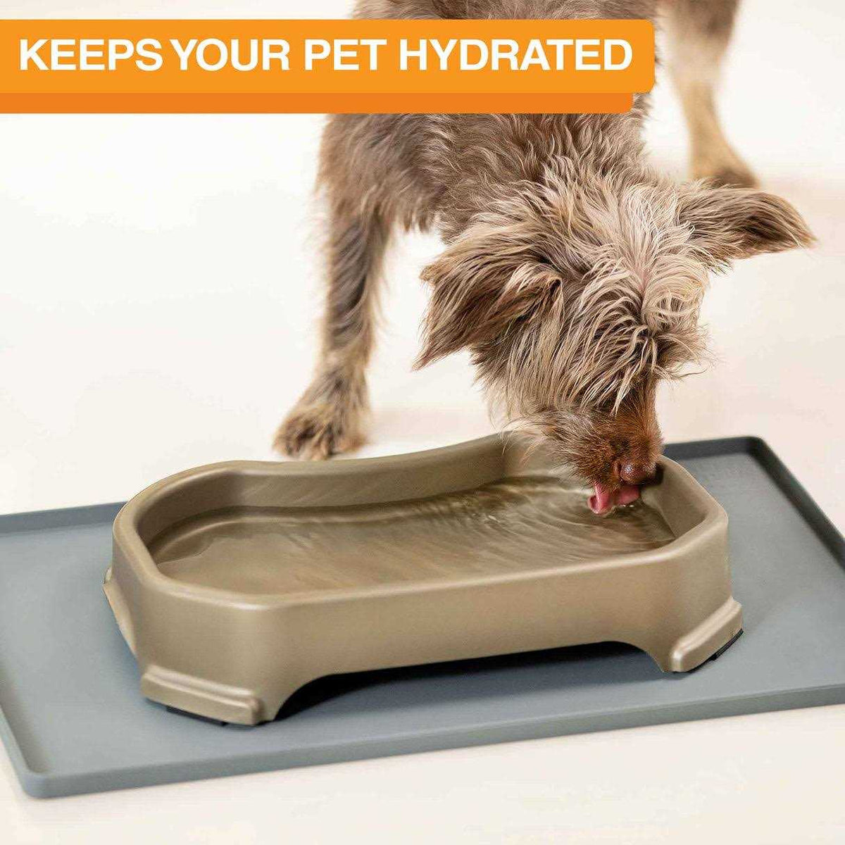 Extra Large Water Bowl for Dogs Q9018