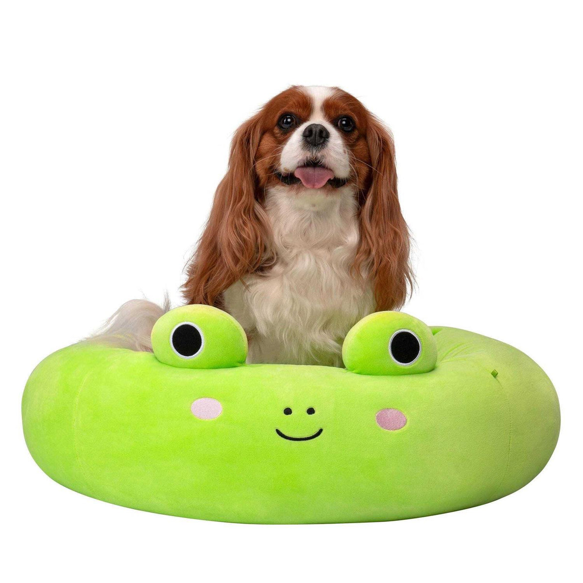 Frog Pet Bed O920