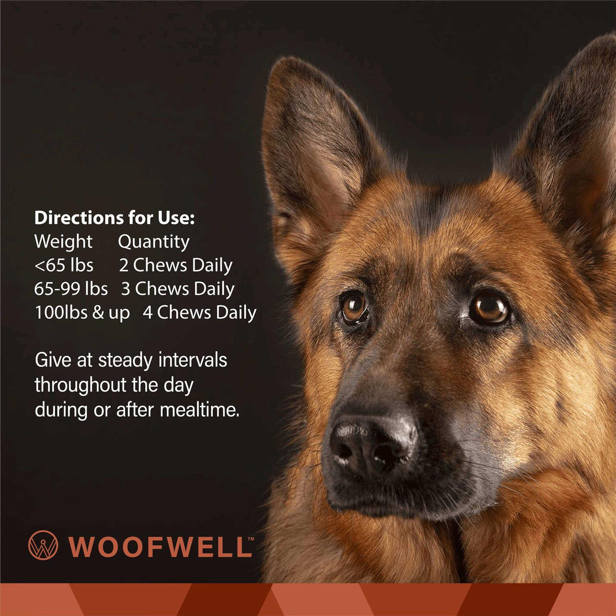 German Shepherd Health Support Supplement J213379