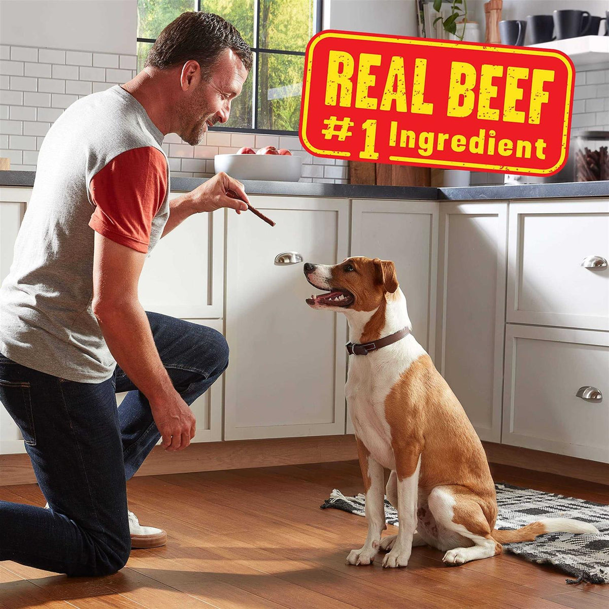 Filet Mignon Bacon Dog K266744