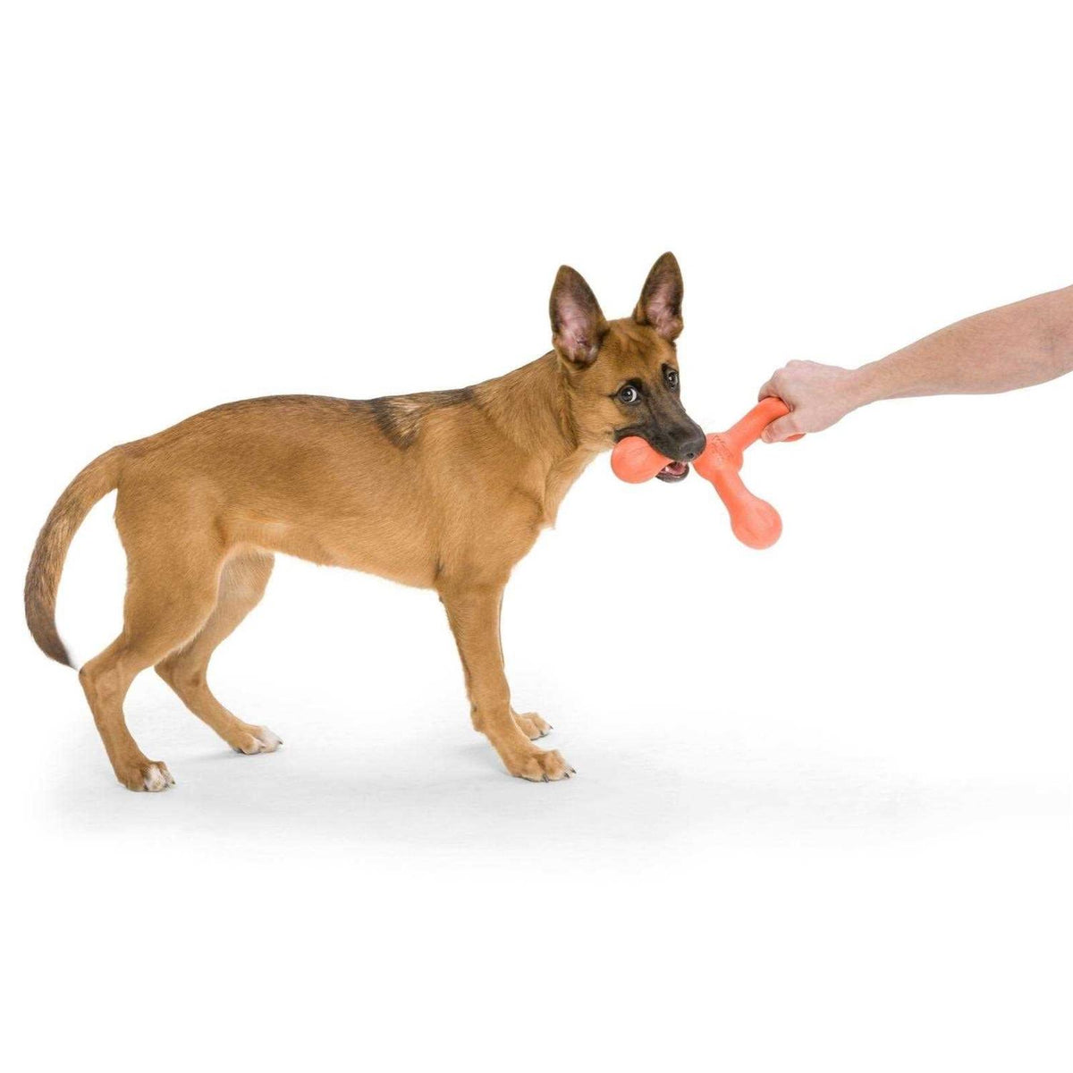 Dog Toy Y393