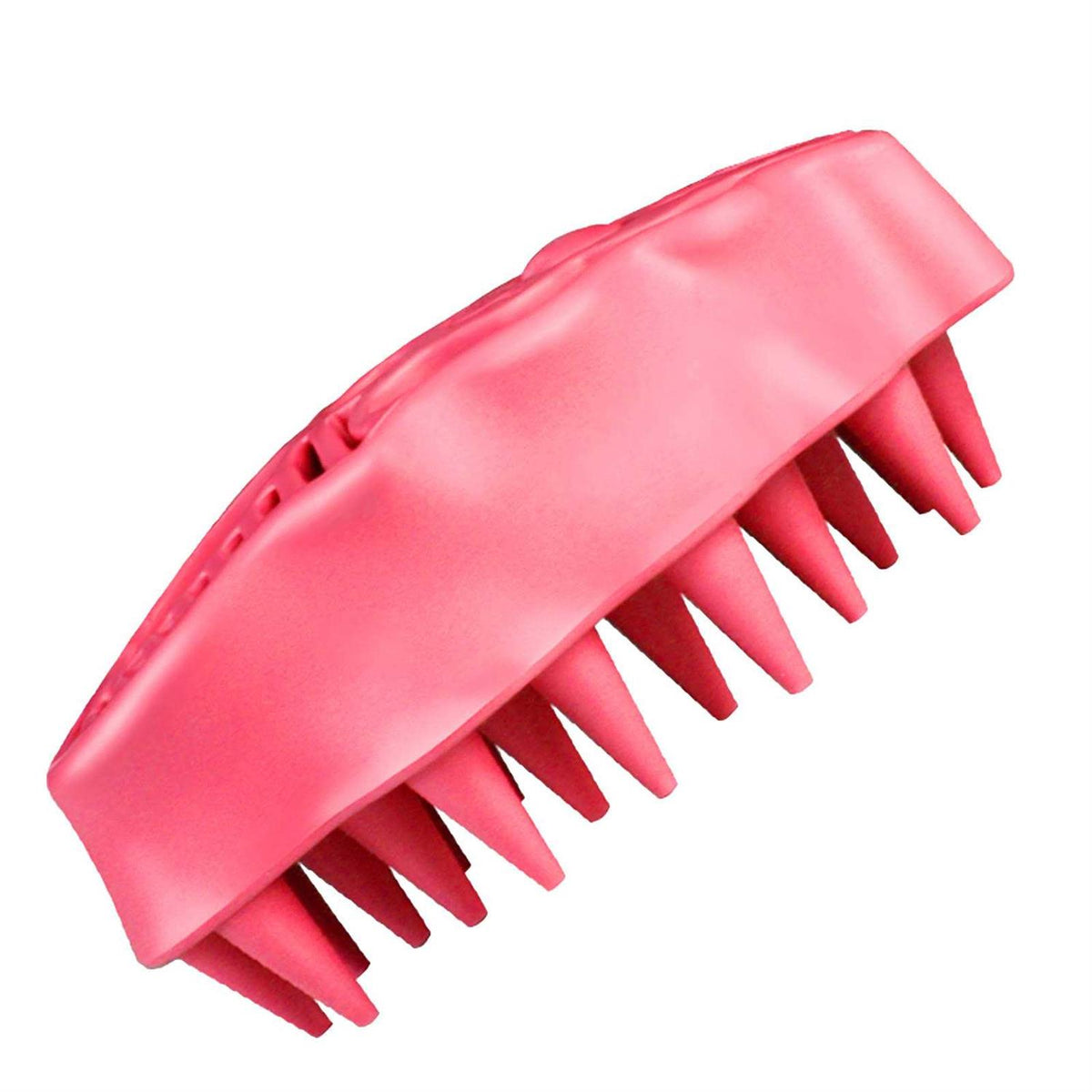 Brush W6828