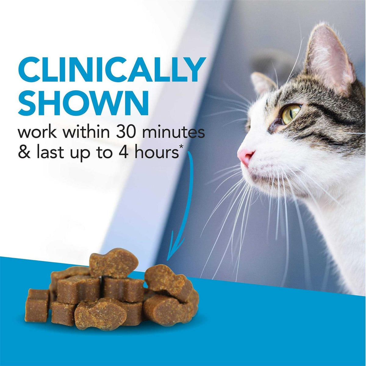 Cat Supplement L134