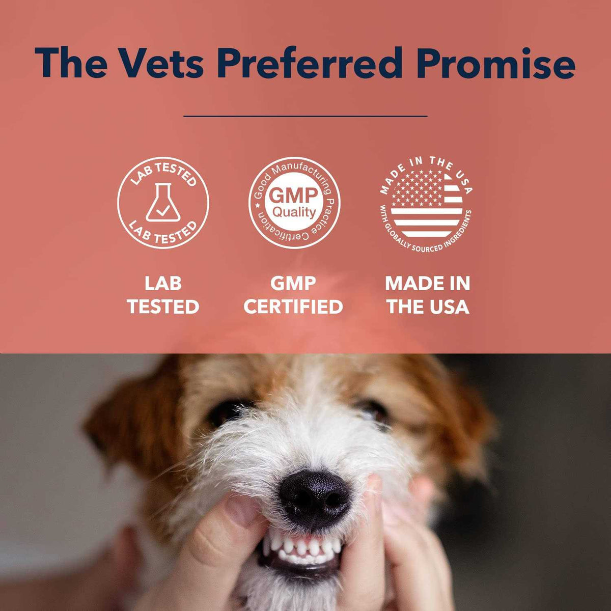 Advanced Oral Care Water Additive for Dogs M376960