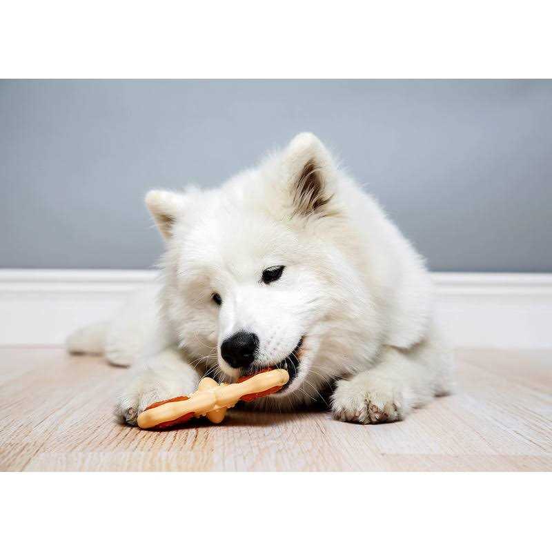 Chew Toy U763157