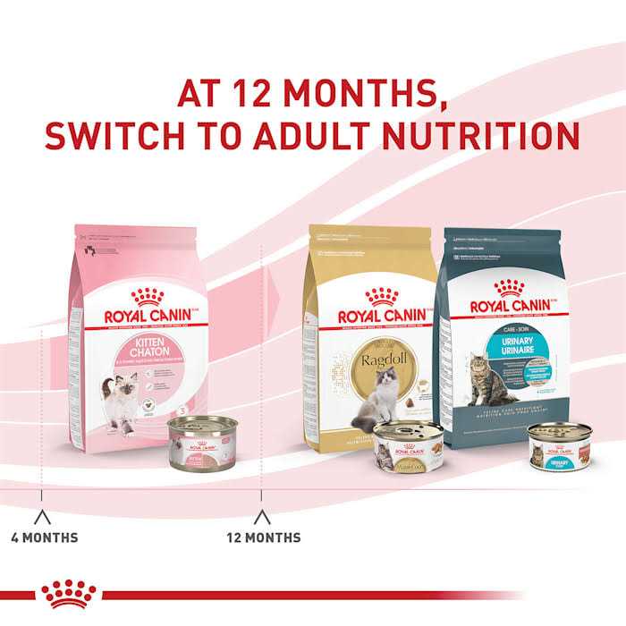 Kitten Loaf in Sauce Cat Food R218167