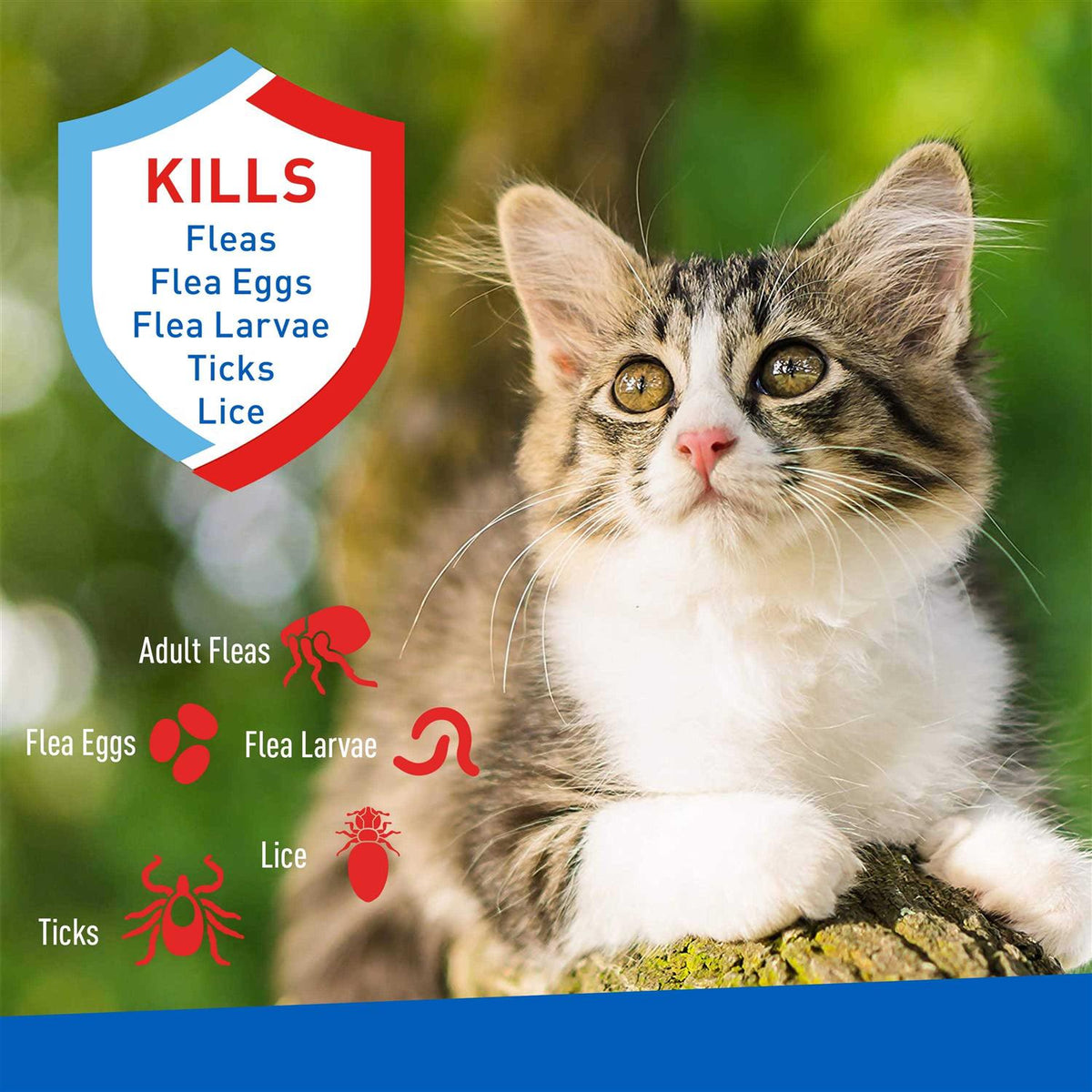 Flea & Tick Foaming Shampoo & Wash for Cats & Kittens R13291