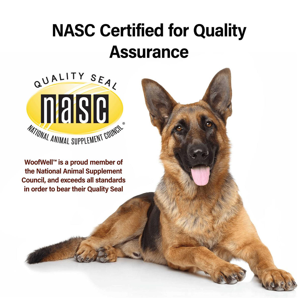 German Shepherd Health Support Supplement J213379