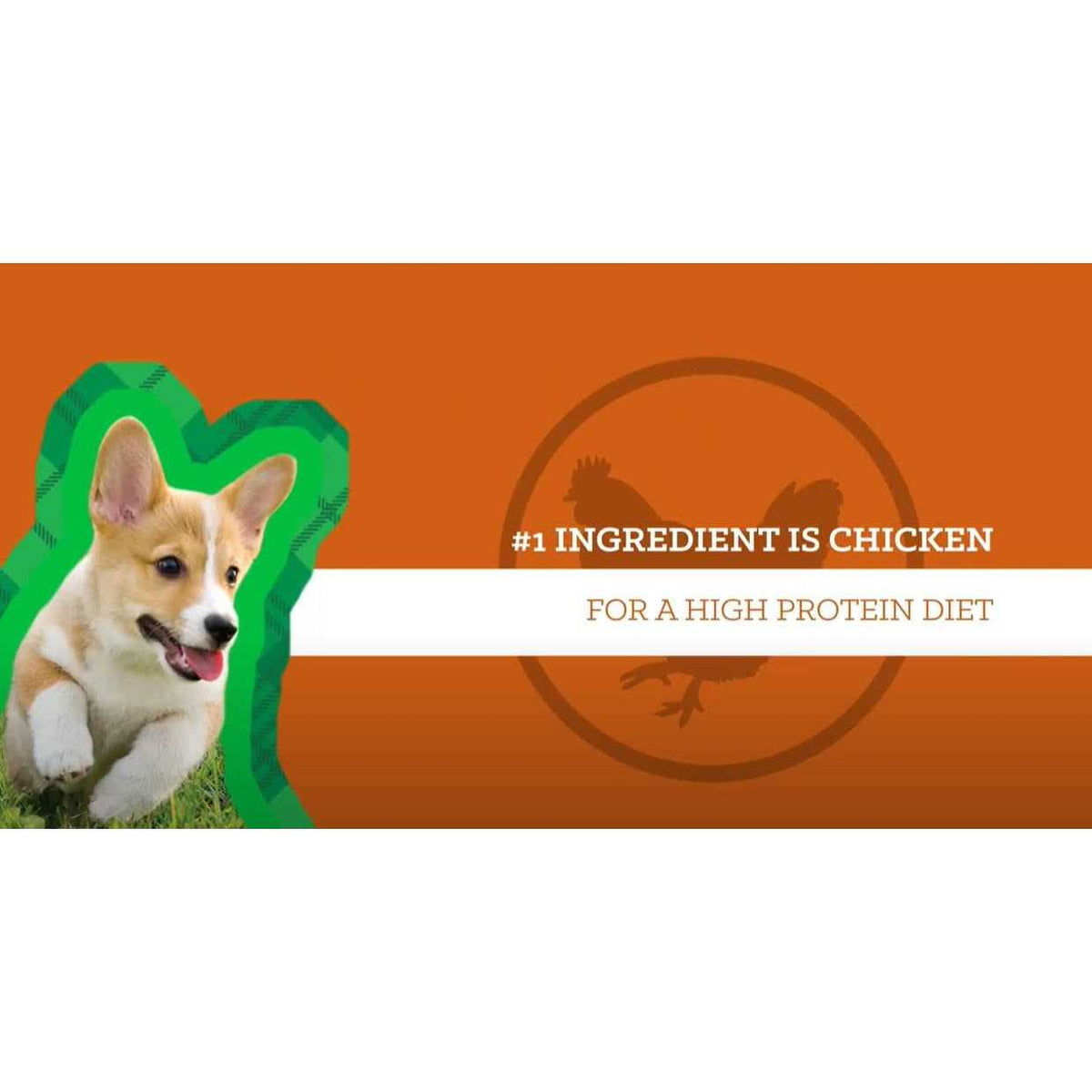 Chicken & Brown Rice Puppy X645236