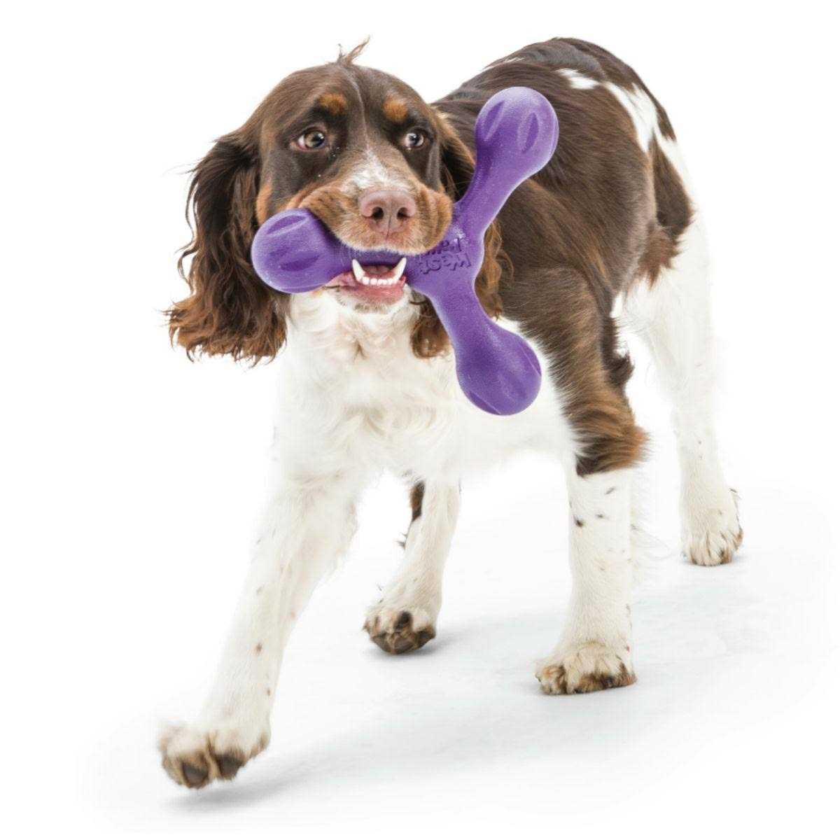 Dog Toy Y393