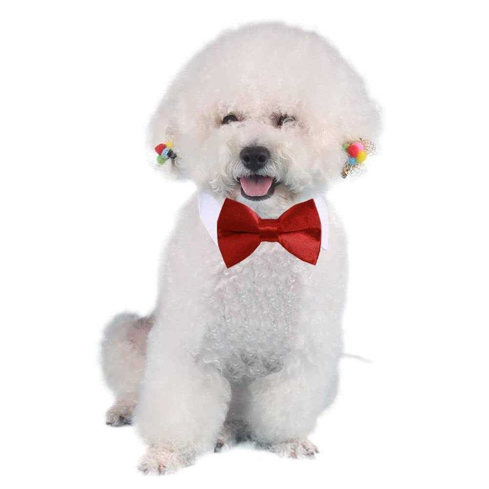 Adjustable Pet Bowtie Collar M872763