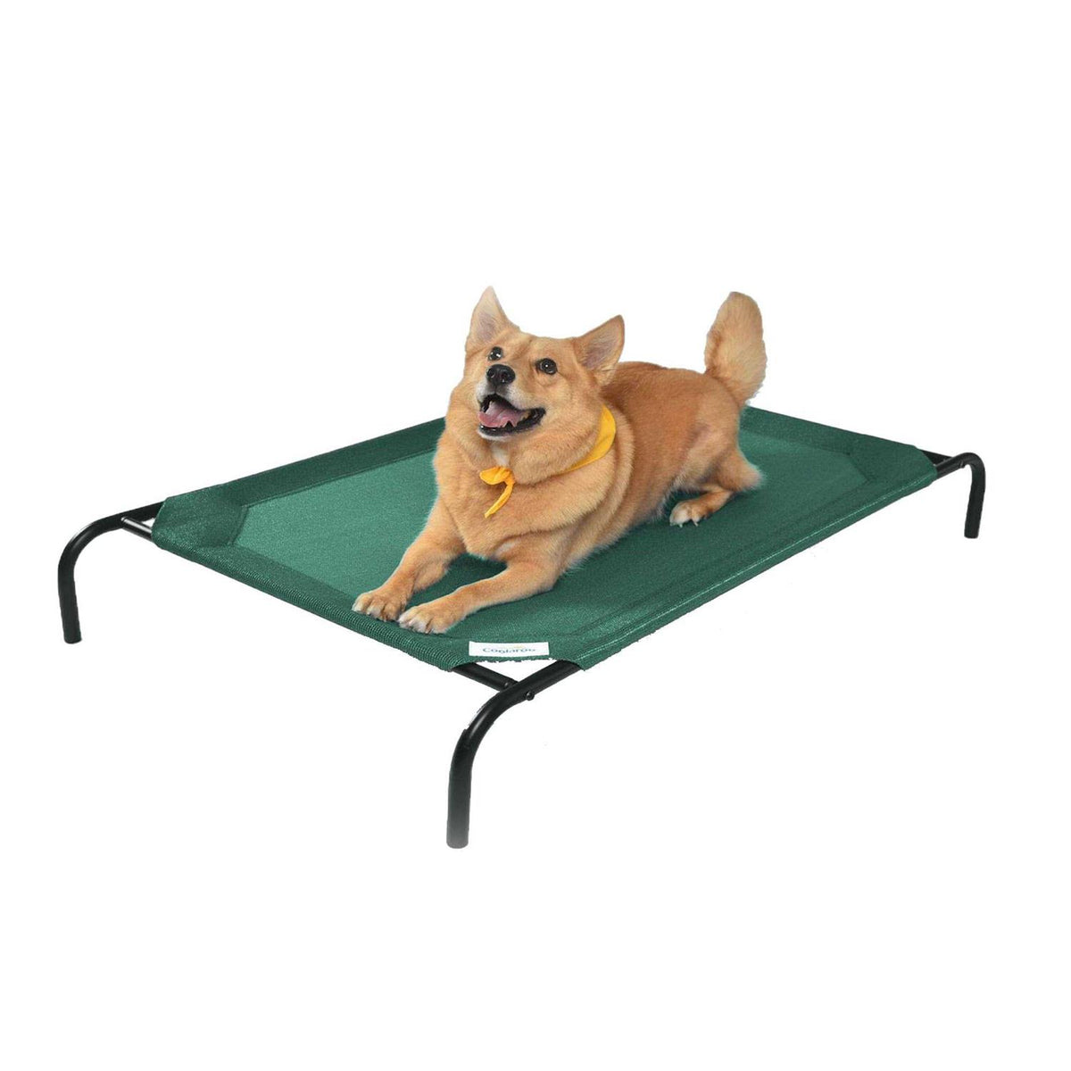 Elevated Pet Bed U618321