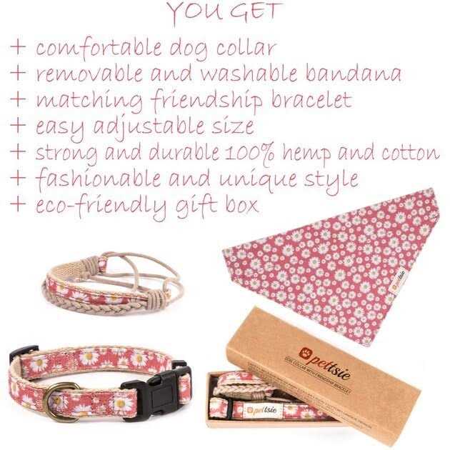 Matching Dog Collar, Bandana and Friendship Bracelet E2389