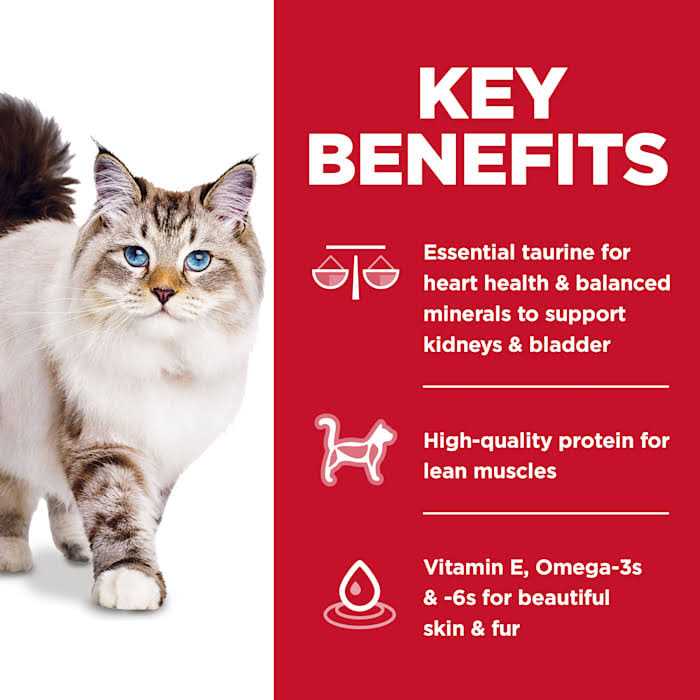 Chicken Dry Cat Food Y5490